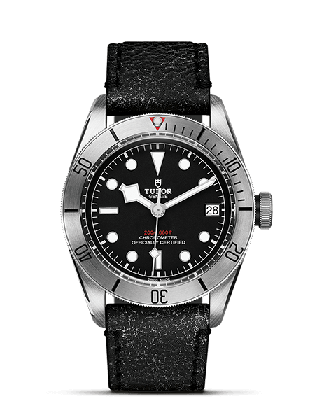 картинка ЧАСЫ TUDOR BLACK BAY STEEL M79730-0003 от магазина Одежда+