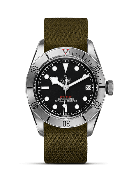 картинка ЧАСЫ TUDOR BLACK BAY STEEL M79730-0003 от магазина Одежда+