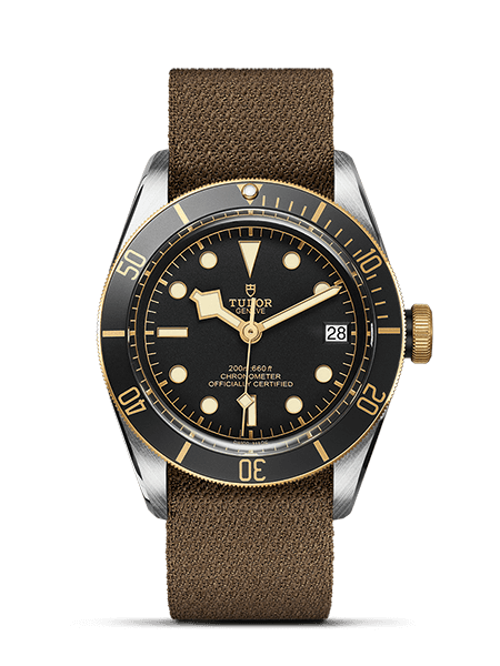 картинка ЧАСЫ TUDOR BLACK BAY S&G M79733N-0001 от магазина Одежда+