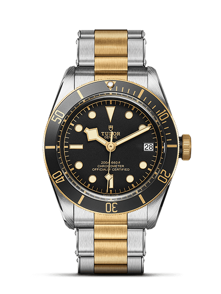 картинка ЧАСЫ TUDOR BLACK BAY S&G M79733N-0002 от магазина Одежда+
